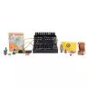 Moog Sound Studio Semi Modular Bundle Mother-32 and DFAM