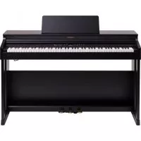 Roland RP701-CB