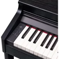 Roland RP701-CB
