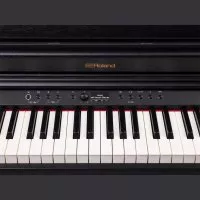 Roland RP701-CB