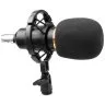 HL Audio BM-800 HL Audio BM-800