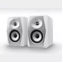 Pioneer DJ VM-50-W