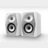 Pioneer DJ VM-50-W