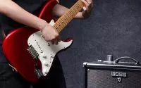 Boss WL-20