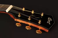 Cort Gold O6 NAT w/case