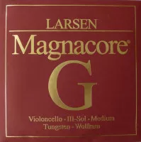 Larsen SC334905