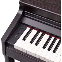 Roland RP701-DR