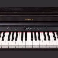 Roland RP701-DR