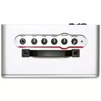 ZT Lunchbox Reverb Amplifier