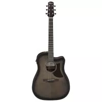 Ibanez AAD50CE-TCB