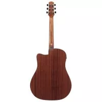 Ibanez AAD50CE-TCB