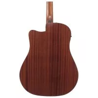 Ibanez AAD50CE-TCB