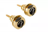 Fender INFINITY STRAP LOCKS GOLD