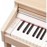 Roland RP701-LA