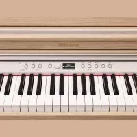 Roland RP701-LA