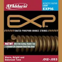 D'Addario EXP16