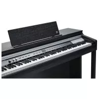Kurzweil CUP P1 BK