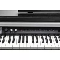 Kurzweil CUP P1 BK
