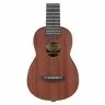 Ibanez UKS100-OPN