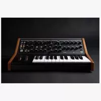 Moog SUBSEQUENT 25