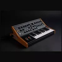 Moog SUBSEQUENT 25