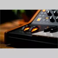 Moog SUBSEQUENT 25