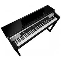 Kurzweil CUP P1 BP