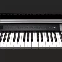Kurzweil CUP P1 BP