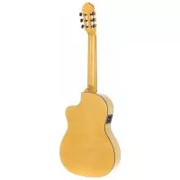 Gewa Pro Arte Flamenco 4/4 (Cutaway)
