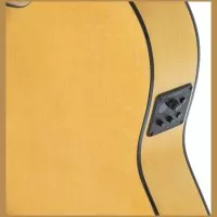 Gewa Pro Arte Flamenco 4/4 (Cutaway)