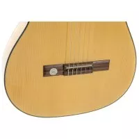 Gewa Pro Arte Flamenco 4/4 (Cutaway)