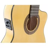 Gewa Pro Arte Flamenco 4/4 (Cutaway)