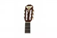  Epiphone Pro-1 Classic 3/4