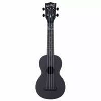 Kala Learn to Play Color Chord