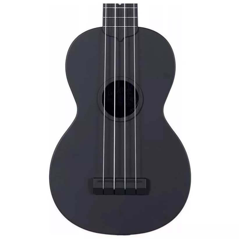 Kala Learn to Play Color Chord