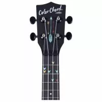 Kala Learn to Play Color Chord