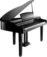 Kurzweil CGP220 W