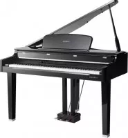Kurzweil CGP220 W