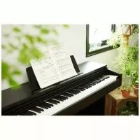Casio AP-270BK