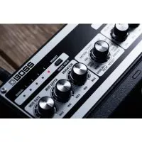 Boss DM-101