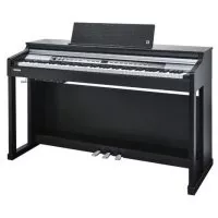 Kurzweil CUP P1 SR