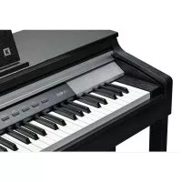 Kurzweil CUP P1 SR