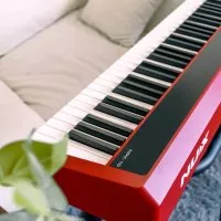 NUX NPK-10-R