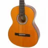  Epiphone Pro-1 Classic 1.75