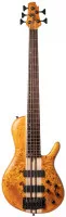 Cort A5 Plus SC w/case AOP