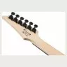 Ibanez GRG120QASP-BGD Ibanez GRG120QASP-BGD