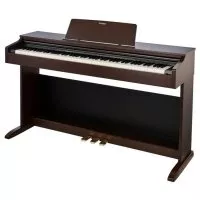 Casio AP-270BN