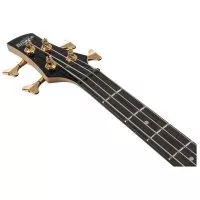 Ibanez GSR200PC TPB