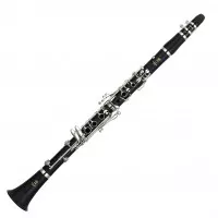 Yamaha YCL255