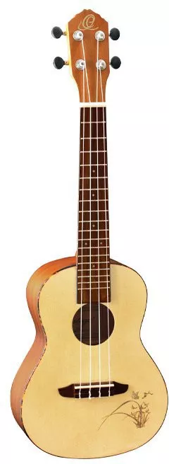 Ortega RU5 (concert)